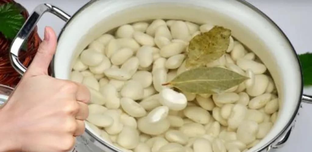 Jak szybko ugotować fasolę? Sprawdzone metody na szybkie gotowanie