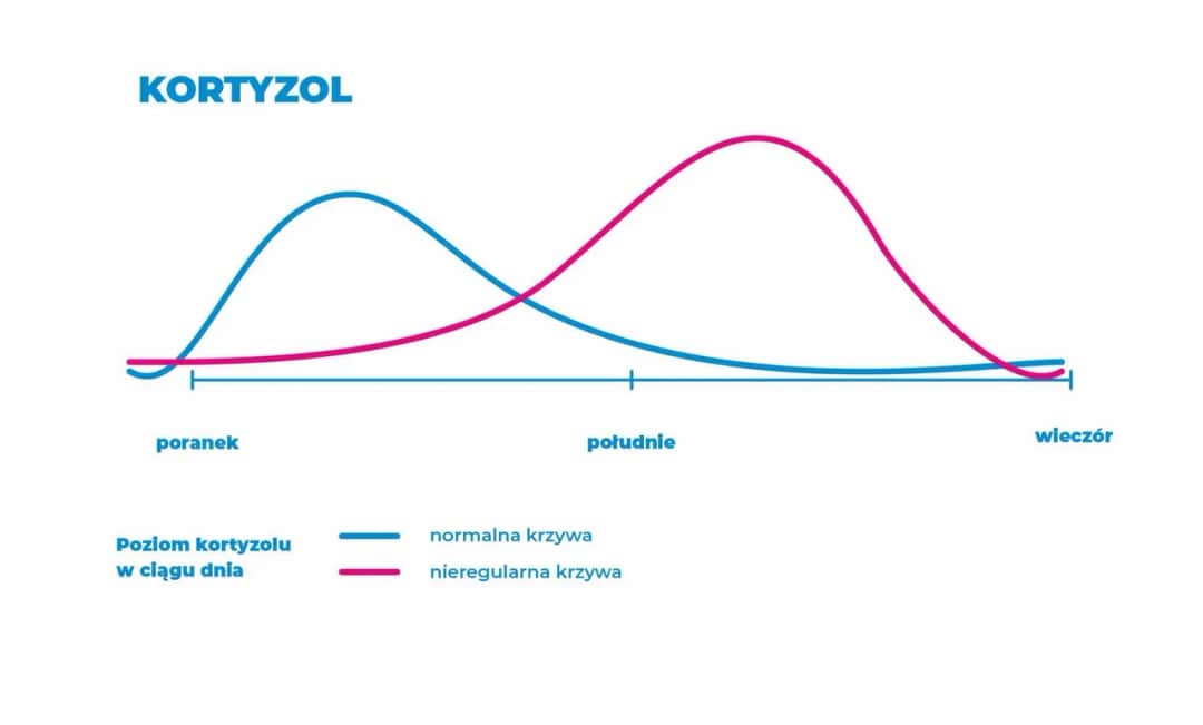 Czy kawa podnosi kortyzol? Sprawdź, jak wpływa na Twoje zdrowie
