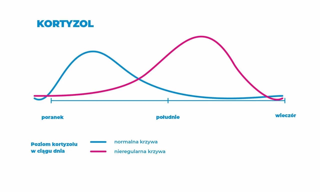 Czy kawa podnosi kortyzol? Sprawdź, jak wpływa na Twoje zdrowie