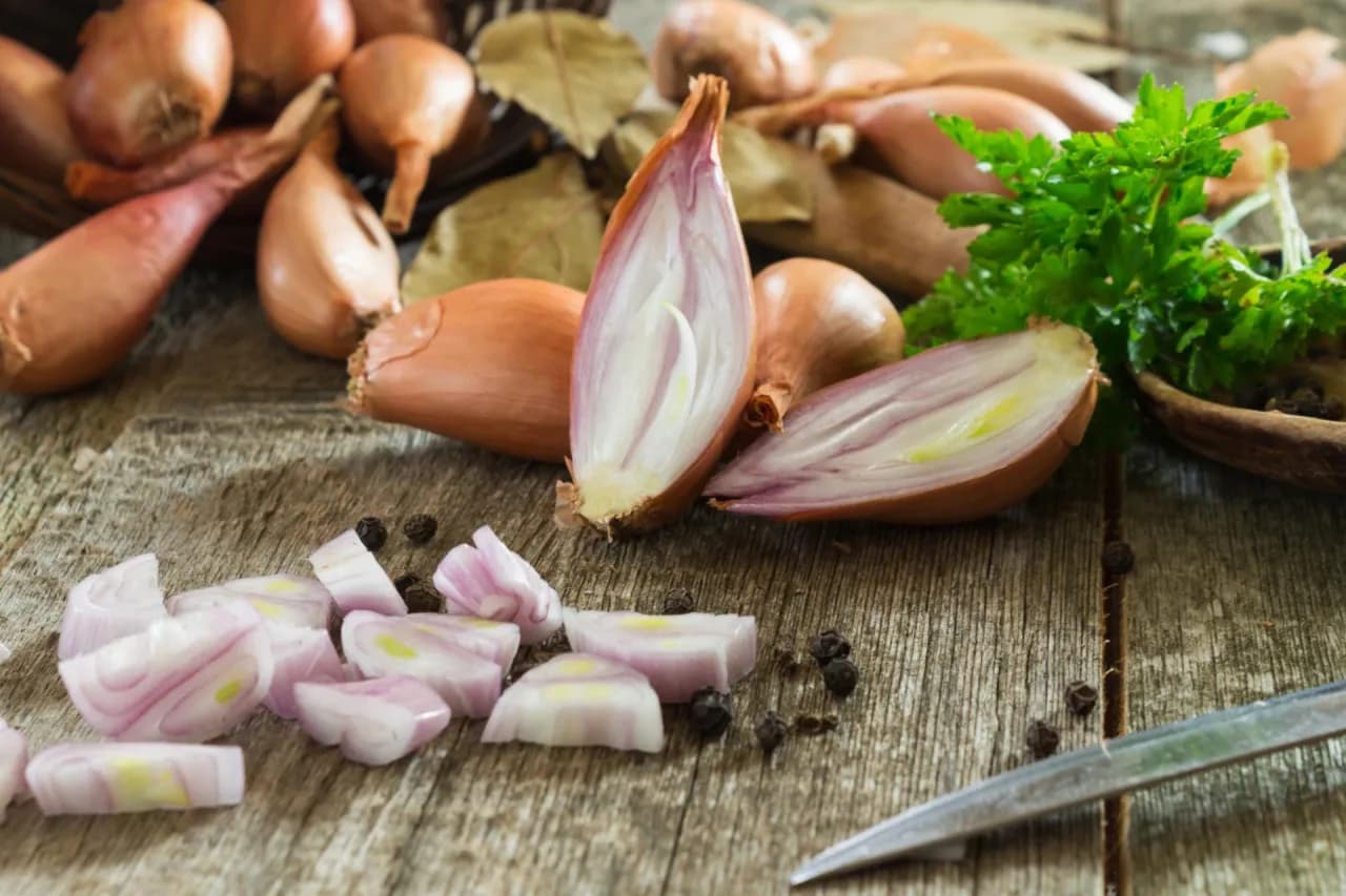 Jak wygląda szalotka? Poznaj cechy tej wyjątkowej cebuli